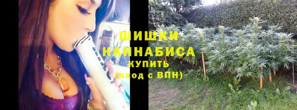 молекула духа Няндома